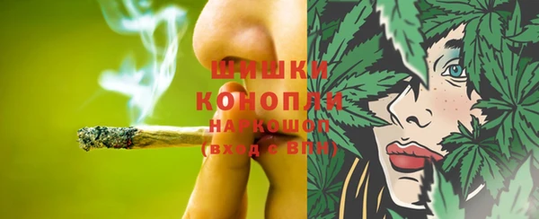 трава Пересвет