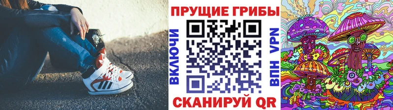 Купить закладки  Шумерля  Галлюциногенные грибы мицелий 